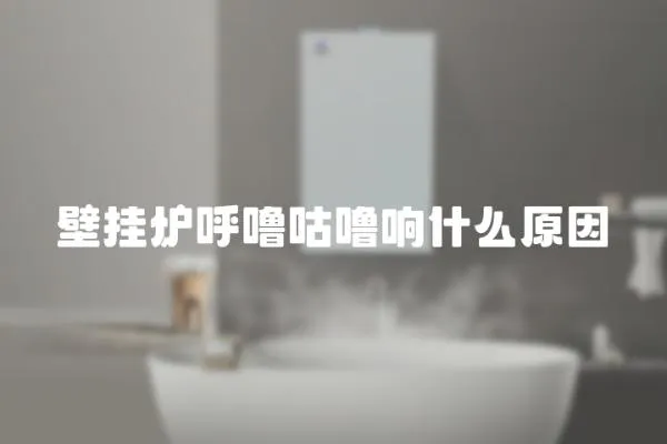 壁掛爐呼嚕咕嚕響什么原因
