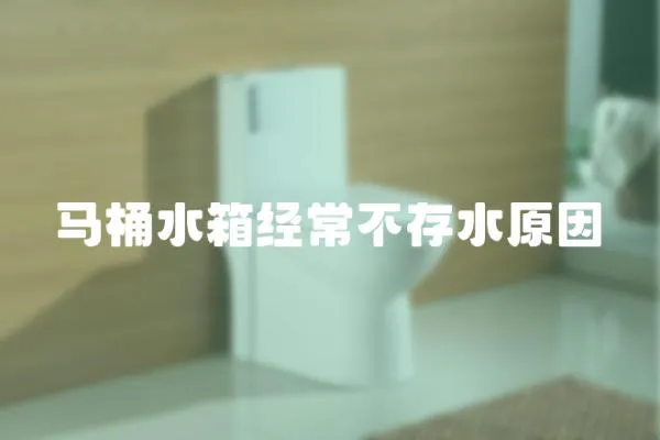 馬桶水箱經常不存水原因