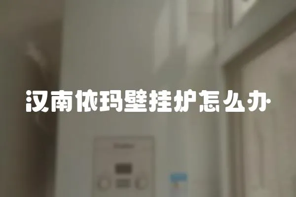 漢南依瑪壁掛爐怎么辦