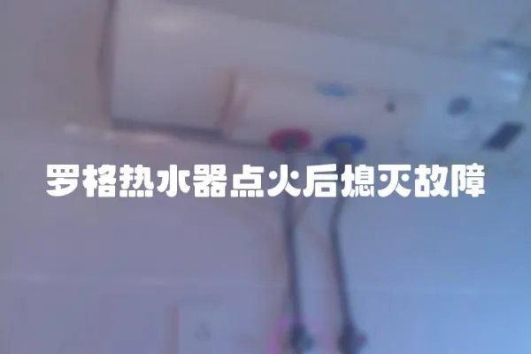 羅格熱水器點火后熄滅故障
