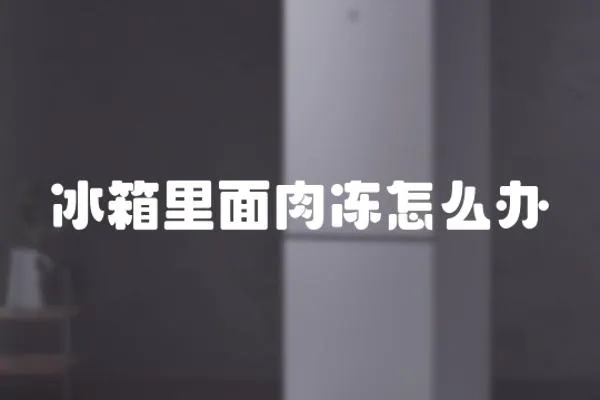 冰箱里面肉凍怎么辦