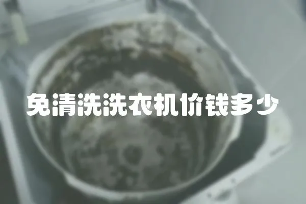 免清洗洗衣機價錢多少