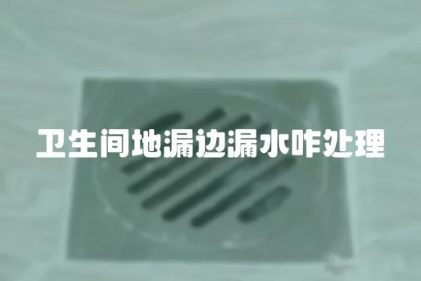 衛生間地漏邊漏水咋處理