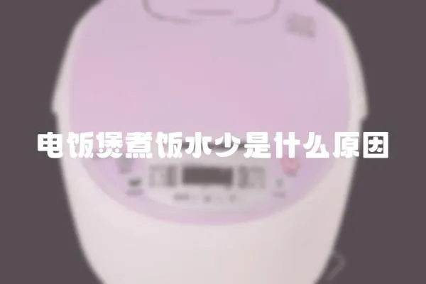 電飯煲煮飯水少是什么原因