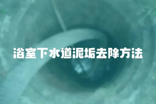 浴室下水道泥垢去除方法