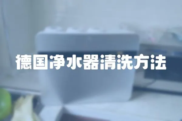 德國凈水器清洗方法