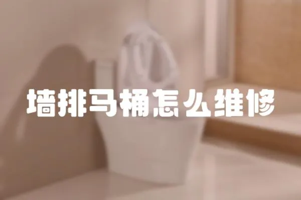 墻排馬桶怎么維修