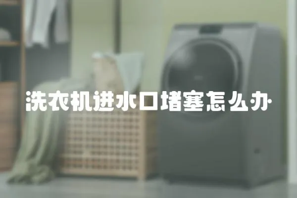 洗衣機進水口堵塞怎么辦