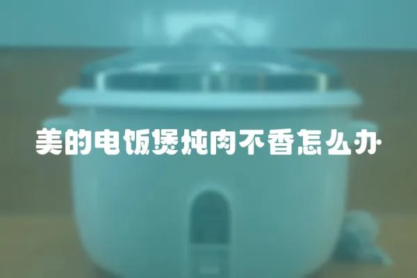 美的電飯煲燉肉不香怎么辦