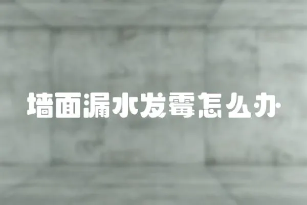 墻面漏水發霉怎么辦