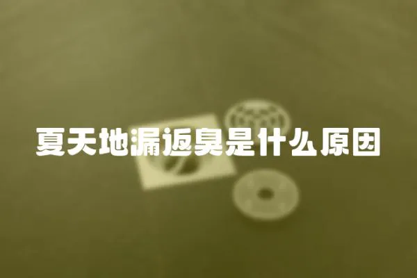 夏天地漏返臭是什么原因