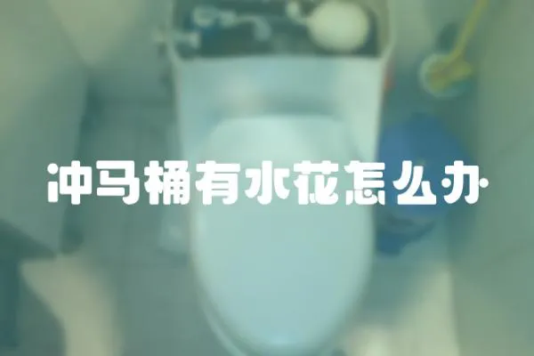 沖馬桶有水花怎么辦