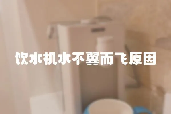飲水機(jī)水不翼而飛原因