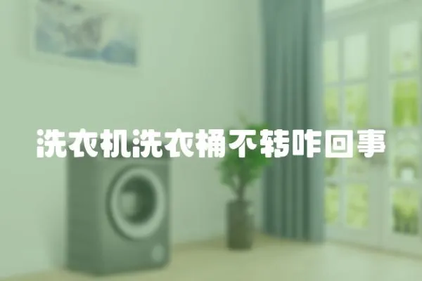 洗衣機(jī)洗衣桶不轉(zhuǎn)咋回事