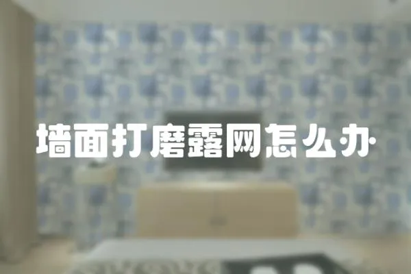 墻面打磨露網怎么辦