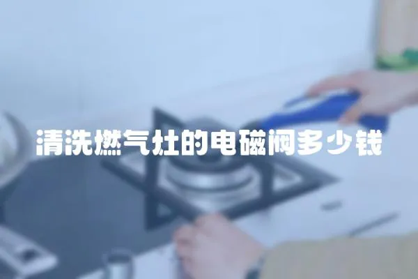 清洗燃氣灶的電磁閥多少錢