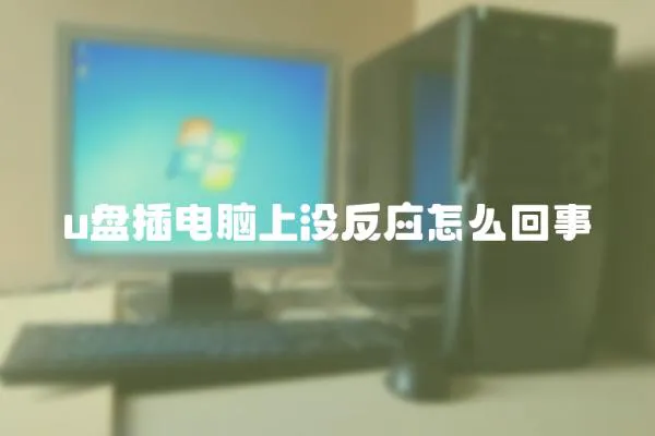 u盤插電腦上沒反應怎么回事