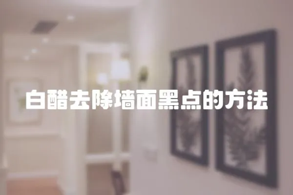 白醋去除墻面黑點(diǎn)的方法