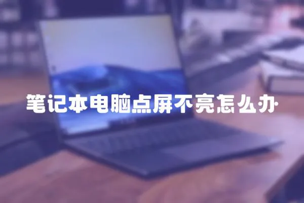 筆記本電腦點屏不亮怎么辦