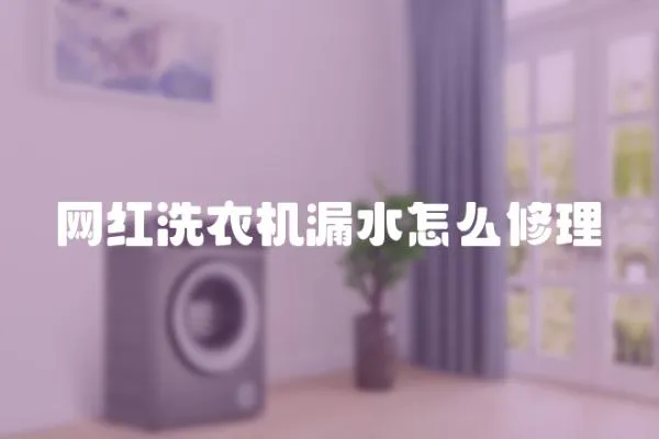 網紅洗衣機漏水怎么修理