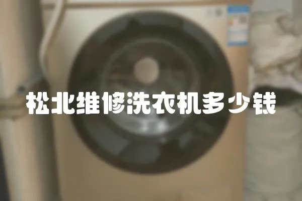 松北維修洗衣機(jī)多少錢