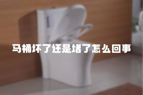 馬桶壞了還是堵了怎么回事