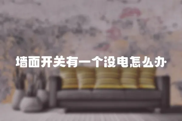 墻面開關有一個沒電怎么辦