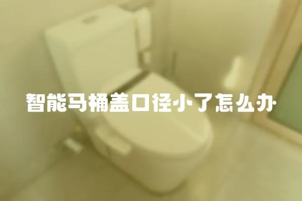 智能馬桶蓋口徑小了怎么辦