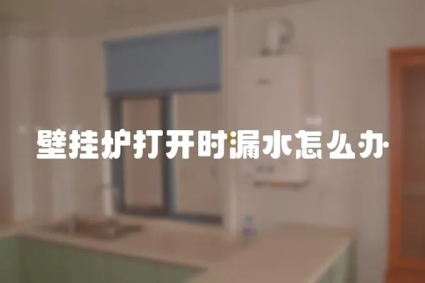 壁掛爐打開時(shí)漏水怎么辦