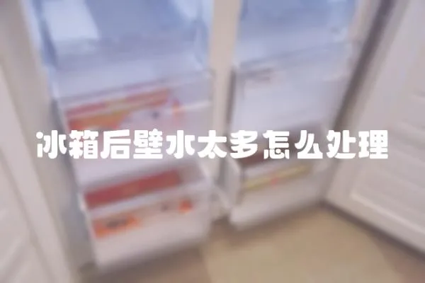 冰箱后壁水太多怎么處理