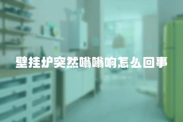 壁掛爐突然嗡嗡響怎么回事