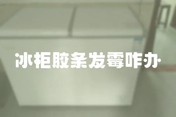 冰柜膠條發(fā)霉咋辦