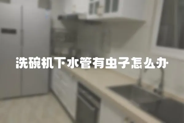 洗碗機下水管有蟲子怎么辦