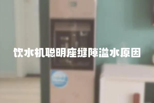 飲水機(jī)聰明座縫隙溢水原因