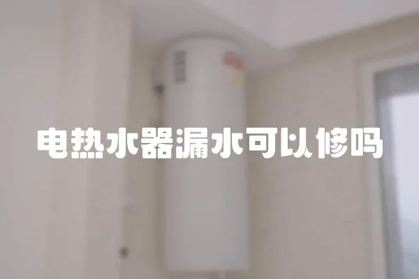 電熱水器漏水可以修嗎