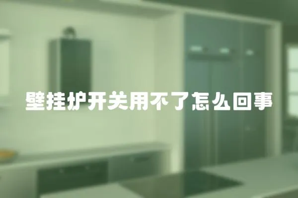 壁掛爐開關用不了怎么回事