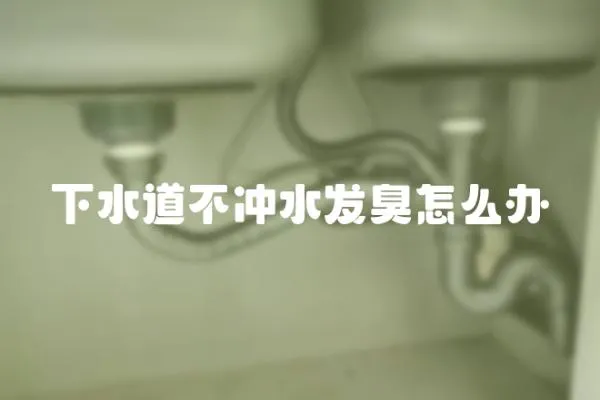 下水道不沖水發臭怎么辦