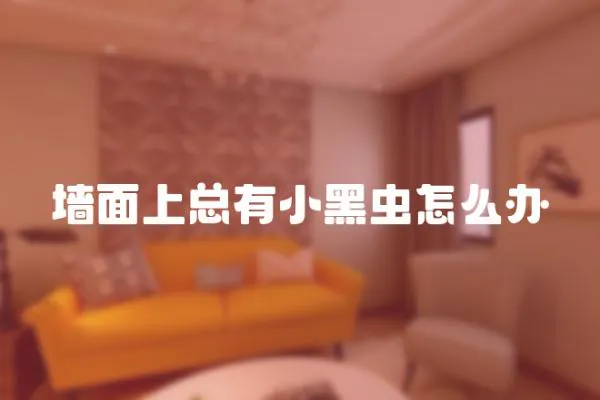 墻面上總有小黑蟲怎么辦