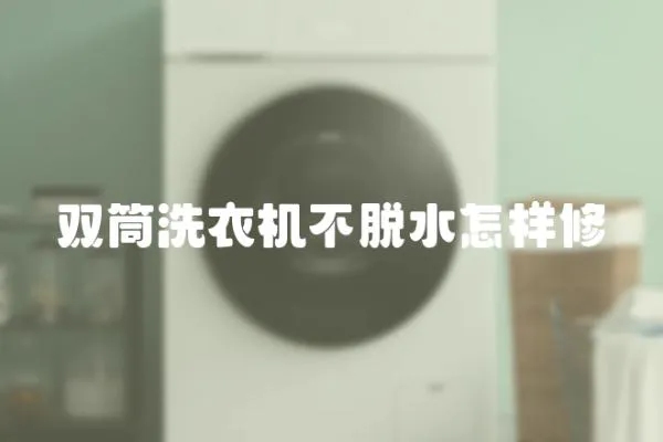 雙筒洗衣機(jī)不脫水怎樣修