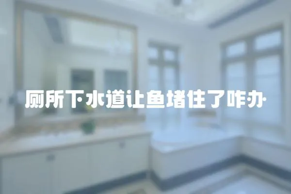 廁所下水道讓魚(yú)堵住了咋辦