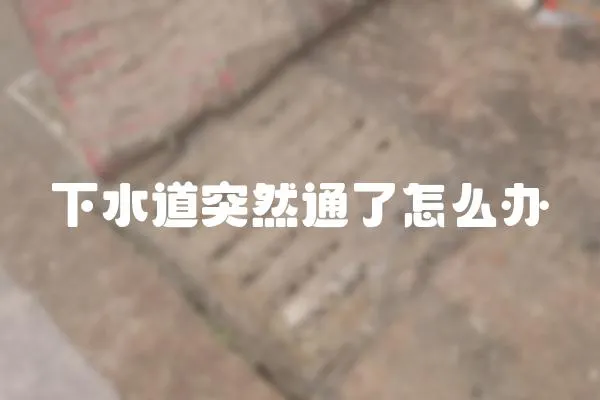 下水道突然通了怎么辦