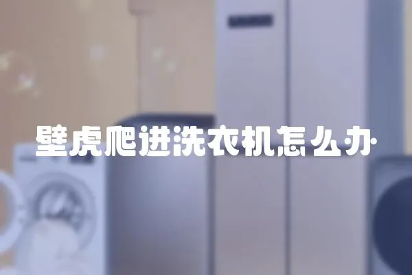 壁虎爬進洗衣機怎么辦