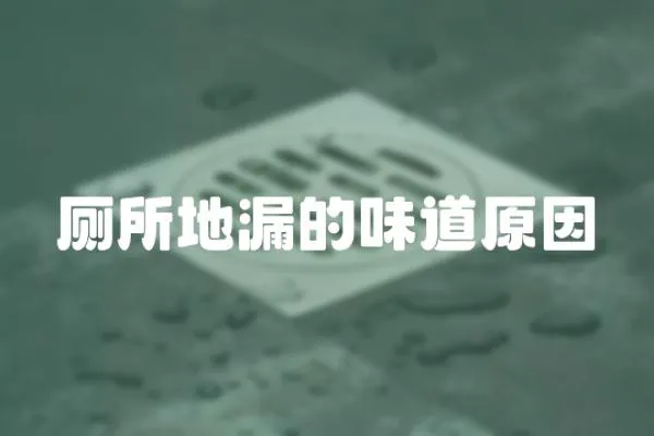 廁所地漏的味道原因