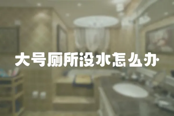 大號廁所沒水怎么辦