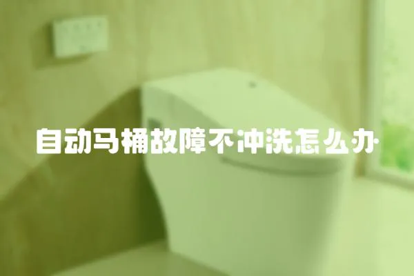 自動馬桶故障不沖洗怎么辦