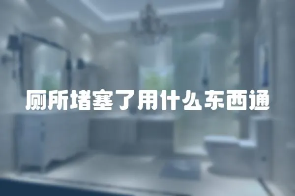 廁所堵塞了用什么東西通