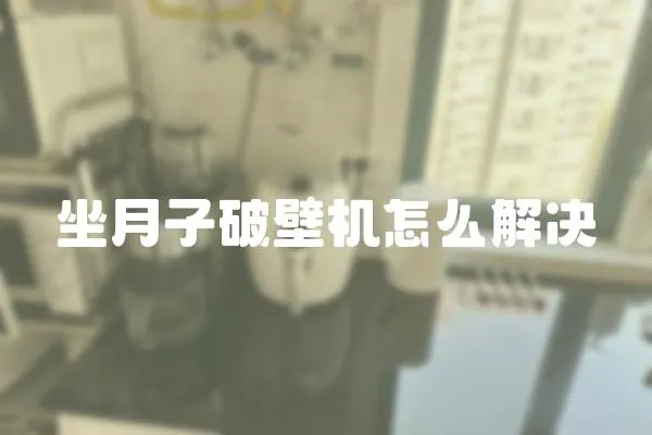 坐月子破壁機怎么解決