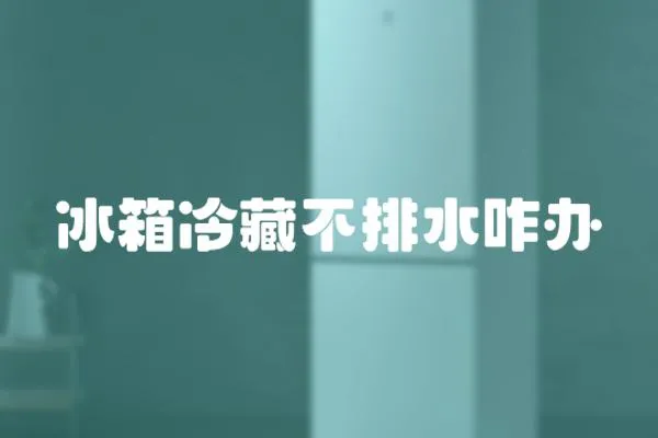 冰箱冷藏不排水咋辦