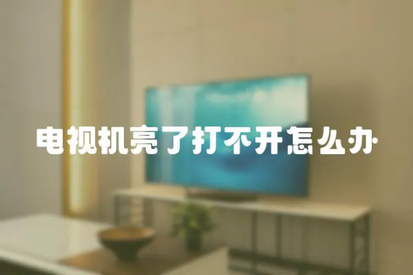 電視機亮了打不開怎么辦