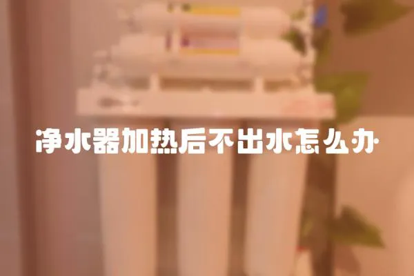 凈水器加熱后不出水怎么辦